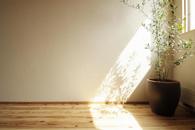 hokushinmodel (13).jpg